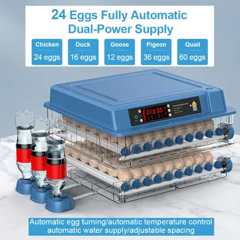 24 Yumurta Kuluçka Çekmece Tipi Mini Kuluçka Otomatik Su İyonik Su Yatağı İkmal Ve Sıcaklık Kontrolü  5