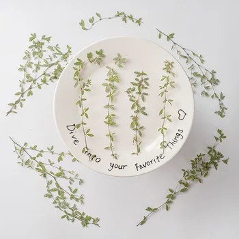 Preslenmiş Kurutulmuş Lespedeza cuneata Yaprak Çiçek Herbaryum Takı Kartpostal Imi Çerçeve telefon kılıfı Yüz Makyaj Lambası Kartı DIY  10